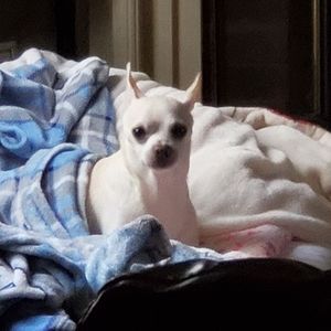 Meet your Posher, Jeff